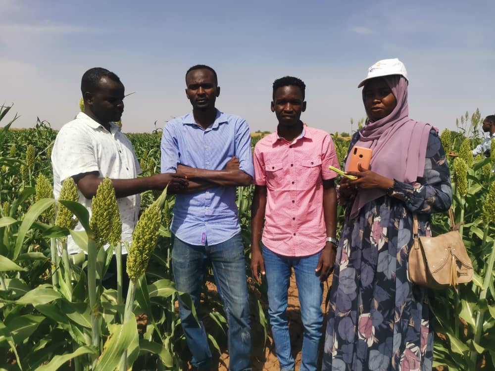 Smart Agriculture — Cultivating Peace and Sustainable Development